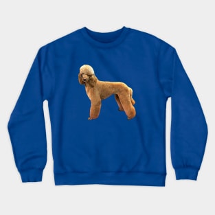 Poodle Apricot Beauty Crewneck Sweatshirt